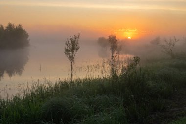 Sabah güneş doğuyor.