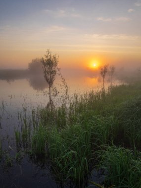 sunrise over a small river with a fog and a beautiful morning in the foreground.