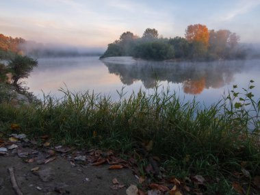 beautiful autumn morning in the lake