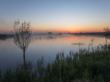 morning sunrise on a river in early summer