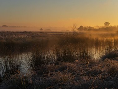 sabah sis Nehri üzerinde.