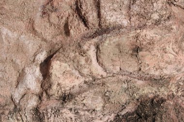 Kâgir duvarlar taş dokusuna