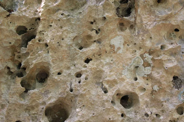 シェル岩背景構造の煉瓦積み — ストック写真