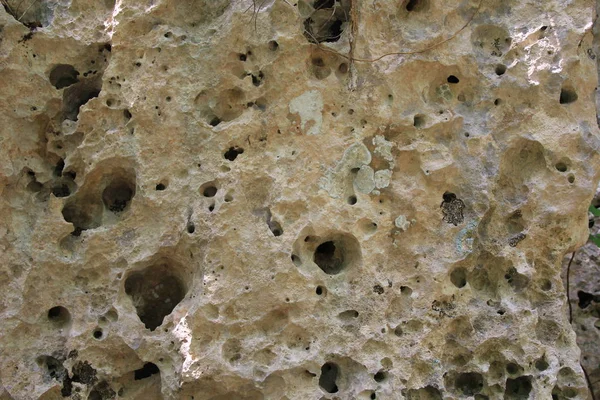 シェル岩背景構造の煉瓦積み — ストック写真