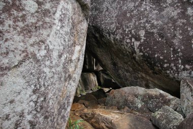 Dağ manzarası. Yeşil tropikal ağaçlar dağ yamaçlarında.