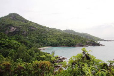 Dağ manzarası. Yeşil tropikal ağaçlar dağ yamaçlarında.
