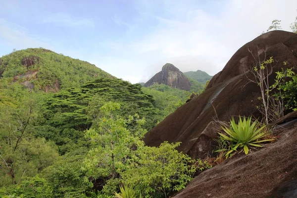 Bergslandskap. Gröna tropiska träd på bergssluttningarna. — Stockfoto