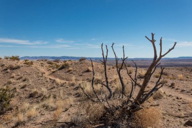 Kayalık bir sırt boyunca uzanan yol, kuru ağaç ve yüksek çölde mavi kış gökyüzü, yatay görünüm