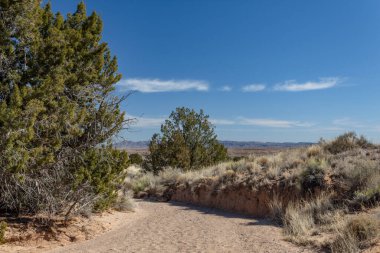 Yol, Chihuahuan Çölü 'nün kaya ve kumlarına, ağaçlar ve kuru otlar uzak dağlardan önce, mavi gökyüzü kopyalama alanı, yatay görünüm