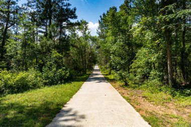 Düz bir çizgide yürüme ve bisiklet yolu. Orman manzarasına açılıyor. Güneşli bir gün, yatay görünüş.
