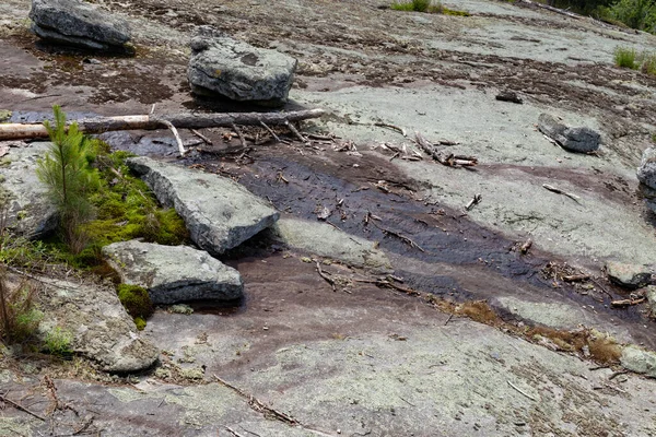 Panola Mountain Georgia Usa Потоки Воды Через Гранитные Обнажения Горный — стоковое фото