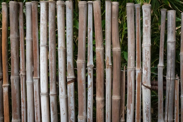 Natur Bakgrund Gamla Bambu Staket Nyanser Brun Kreativ Kopia Utrymme — Stockfoto