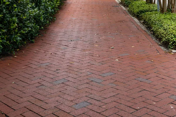 Long Trottoir Brique Avec Motif Chevrons Bordé Sur Les Côtés — Photo