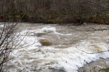 Pasifik 'in kuzeybatısında, Oregon' da sel basmış nehir, yüksek su, kışın yatay olarak hızla hareket ediyor.