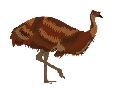 beyaz arka plan üzerinde izole boyalı hayvan