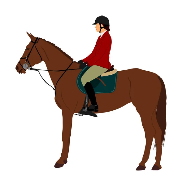 Elegante Racing Paard Portret Vector Illustratie Geïsoleerd Witte Achtergrond Jockey — Stockvector