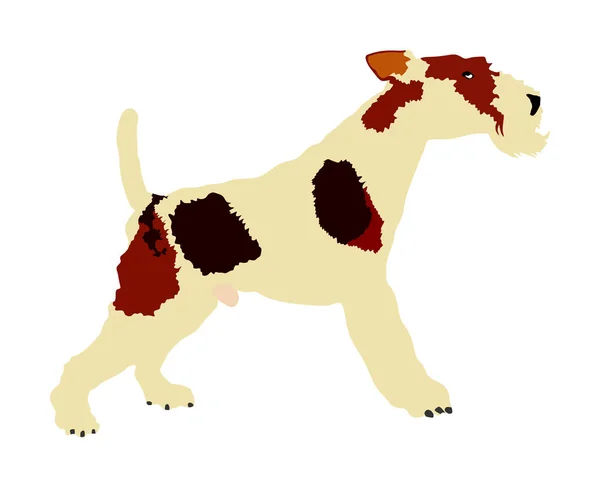 Porträt Des Foxterrier Vektor Illustration Isoliert Vorsicht Hund Terrier Hunderasse — Stockvektor