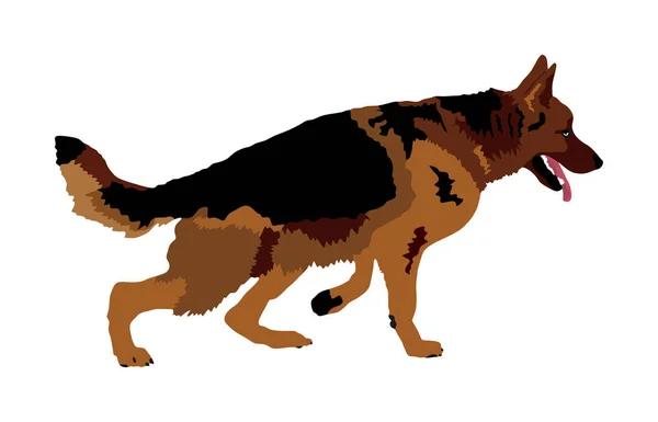 Stående Tysk Herde Spring Hund Vektor Illustration Isolerat Schäfer Akta — Stock vektor