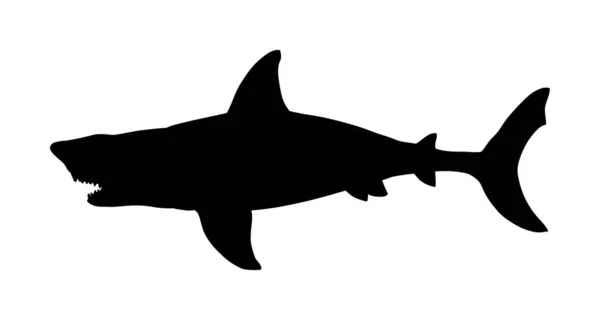 白い背景に隔離されたサメベクトルシルエットイラスト 海の捕食者 ビーチ警報の危険性 — ストックベクタ