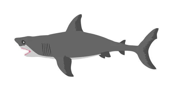 Shark Vector Illustration Isolated White Background Sea Predator Danger Beach — Stock Vector