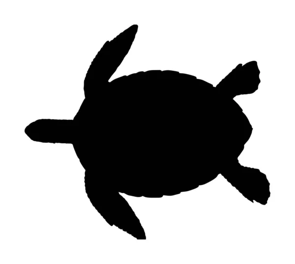 Illustration Silhouette Vectorielle Tortue Marine Isolée Sur Fond Blanc — Image vectorielle