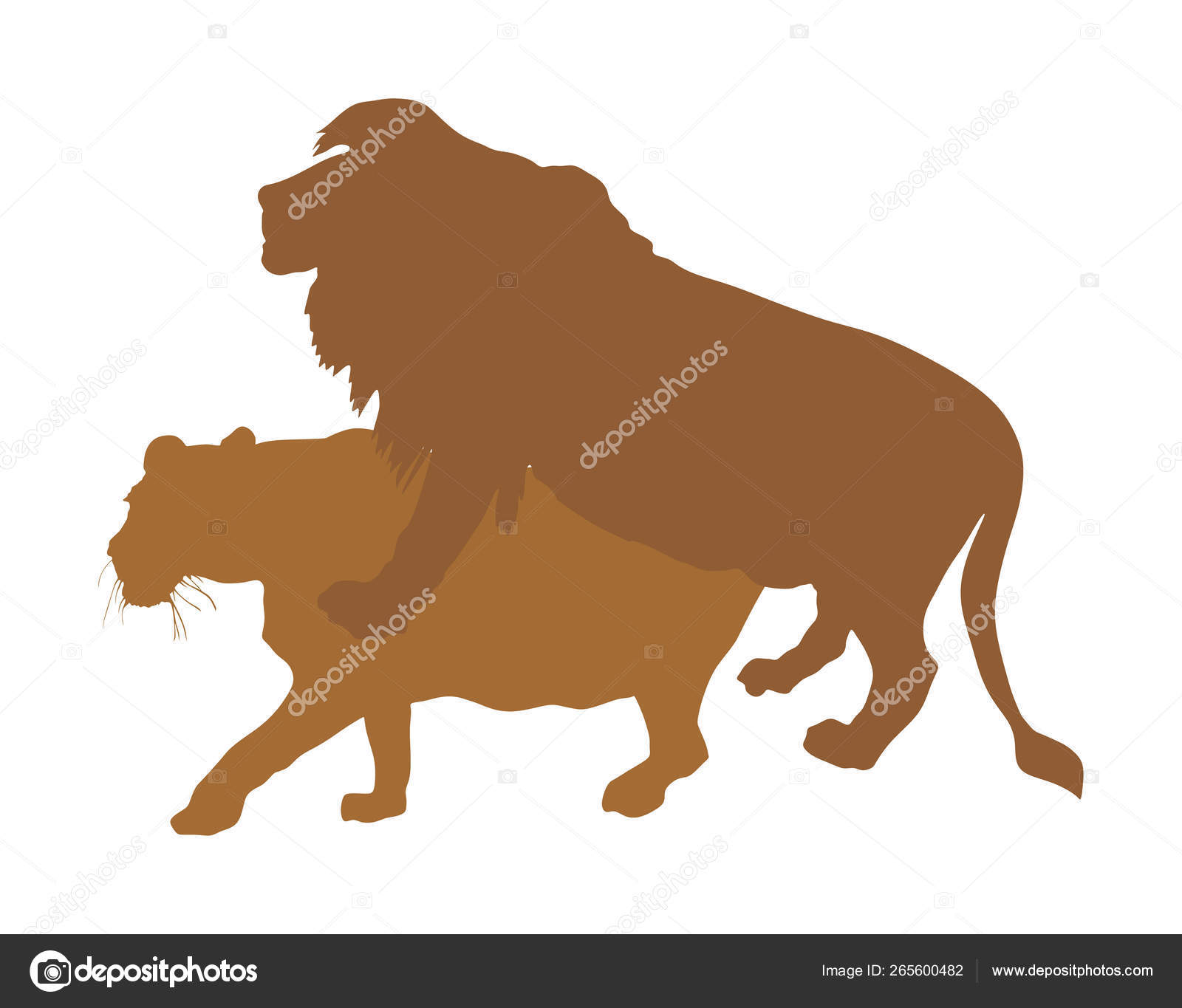 ライオン セックス 白い背景に隔離されたセックスライオンベクトルシルエットイラスト セックスを持つ愛の交尾ライオンのペア 男性と女性のライオンの優しさ ライオン交配セックスロマンスのエロチック ストックベクター ©Dovla982 265600482