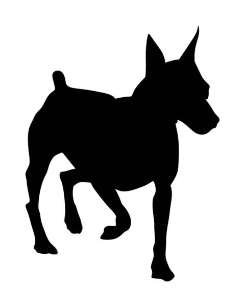 Portrait Illustration Miniature Silhouette Vectorielle Pincher Isolé Petite Silhouette Chien — Image vectorielle