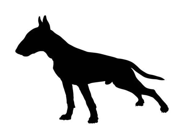 Portrait Illustration Silhouette Vectorielle Bull Terrier Isolé Méfiez Vous Chien — Image vectorielle