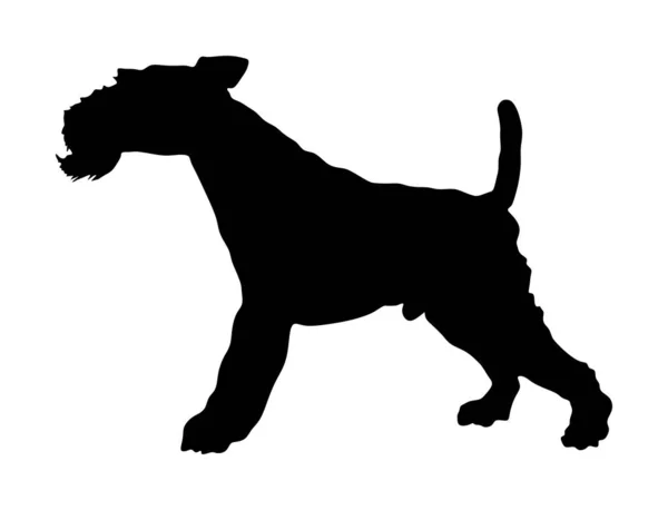 Ritratto Fox Terrier Silhouette Vettoriale Isolato Attento Cane Silhouette Cane — Vettoriale Stock