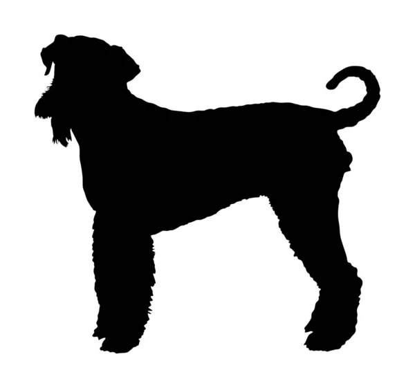 Ritratto Airedale Terrier Silhouette Vettoriale Isolato Grande Forma Cane Terrier — Vettoriale Stock