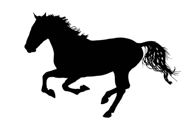 Elegantní Kůň Trysku Ilustrace Vektorové Siluety Koňská Rasa Izolovaná Bílém — Stockový vektor