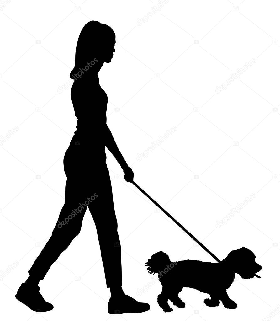 Owner handsome girl walking with dog vector silhouette illustration, isolated on white background. Maltese dog. Lady with cute puppy outdoor. Recreation walk with little friend after work. Relax time.