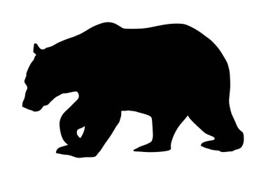 Beyaz arka plan üzerinde izole ayı vektör siluet illüstrasyon. Boz simge. Büyük hayvan, doğa yaban hayatı kavramı.