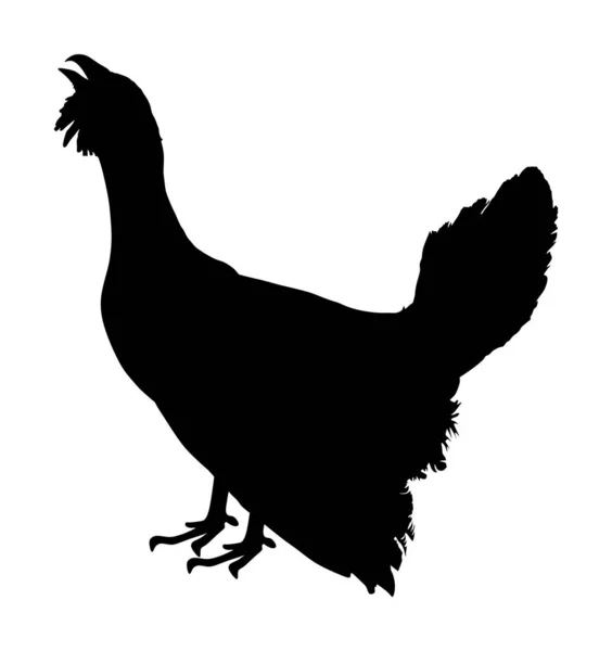 Moorhuhn Vektorsilhouette Illustration Heidehahn Oder Auerhahn Schwarzhahn Oder Heidehahn Vogel — Stockvektor