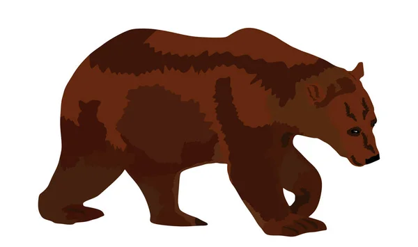 Bärenvektorillustration Isoliert Auf Weißem Hintergrund Grizzly Symbol Großes Tier Natur — Stockvektor