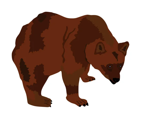 在白色背景上隔离的熊矢量插图 灰熊符号 大动物 自然野生动物的概念 — 图库矢量图片