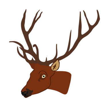 Boynuzları vektör illüstrasyon beyaz arka plan üzerinde izole ile geyik kafası. Geyik, gururlu Noble Geyik erkek kupası. Güçlü para, kırmızı geyik. Avcı av vahşi hayvan, erkek gücünün sembolü.