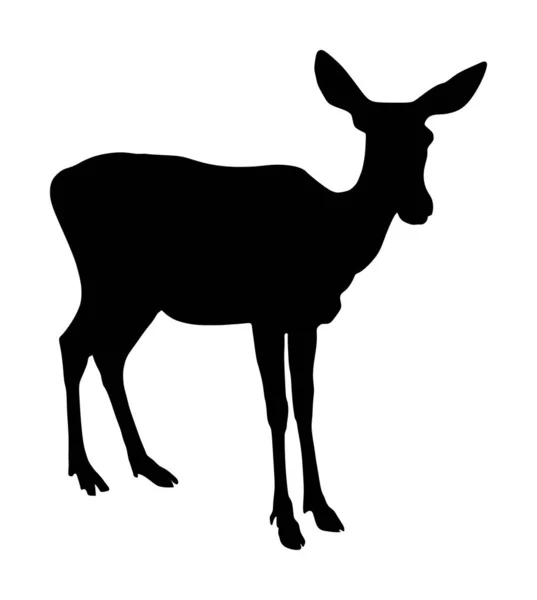 鹿女性矢量剪影插图孤立于白色背景上 驯鹿小鹿 骄傲的贵族鹿在森林或动物园 雄鹿站在警觉的神情中 多伊孤立 法恩载体隔离 — 图库矢量图片