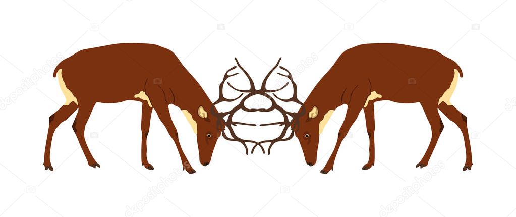 Deer battle vector illustration isolated on white background. Reindeer, proud Noble Deer male in forest, zoo. Powerful buck with huge neck and antlers. Red deer fighting for female. Struggle in forest