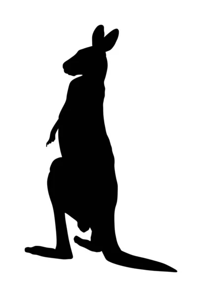 Klokanní Vektorová Silueta Izolovaná Bílém Pozadí Australského Zvířecího Portrétu Turistická — Stockový vektor