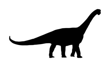 Dinozor brachiosaurus; brontozor; beyaz arka planda izole diplodocus vektör siluet illüstrasyon.