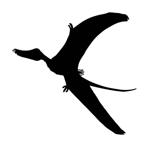 白い背景に隔離されたセアラダクチルスベクトルシルエット 恐竜の鳥のシンボル ジュラ紀ディノサイン — ストックベクタ