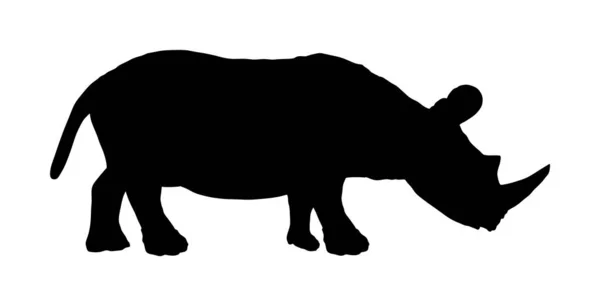 Rhinoceros Vektor Sziluett Illusztráció Elszigetelt Fehér Háttér Orrszarvú Sziluettje Állat — Stock Vector