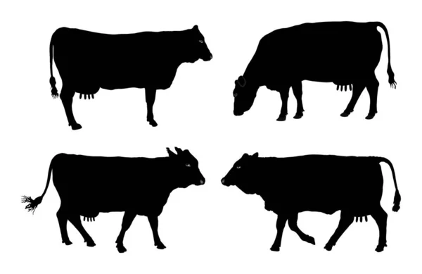 Gruppe Von Kuhvektor Silhouette Illustration Kuhweiden Milch Und Käse Stoff — Stockvektor