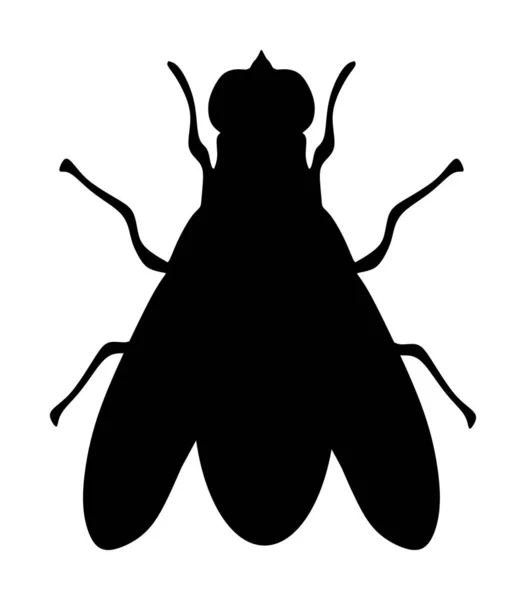Μύγα Icon Εικόνα Διανυσματική Απεικόνιση Απομονωμένη Λευκό Φόντο Έντομο Μύγα — Διανυσματικό Αρχείο