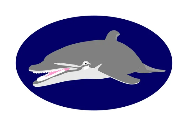 Εικόνα Του Διανύσματος Χαμογελαστή Dolphin Απομονώνεται Μπλε Φόντο — Διανυσματικό Αρχείο