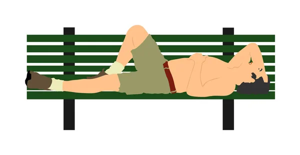 公園の木製のベンチで寝ているシニアの男性 白い背景に隔離された屋外ベクトルイラストを敷設 公衆の面前で酔っ払った人のヌード 太陽の下でお楽しみください 酔っ払いの自由 — ストックベクタ