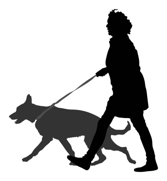 Dueña Perro Paseando Por Ciudad Mujer Caminando Con Silueta Vectorial — Archivo Imágenes Vectoriales