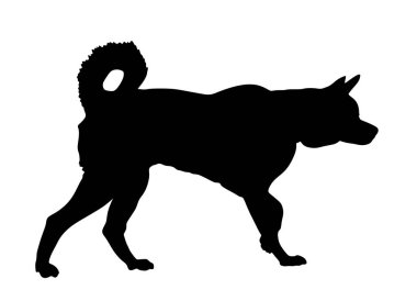 Sibirya Husky köpek vektör siluet illüstrasyon. Akita Inu cinsi. Çalışan köpek. Safkan köpek dikkat edin. Köpek şovu şampiyonu. En iyi dost. Alarm, koruma dikkati. Güzel evcil hayvan, aile en iyi arkadaşı.