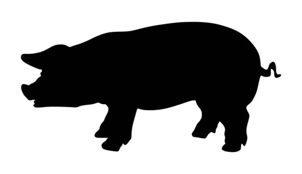 Silhouette Vectorielle Porc Isolée Sur Fond Blanc Viande Porc Boucherie — Image vectorielle